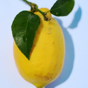 Gutui cu piept de curcan