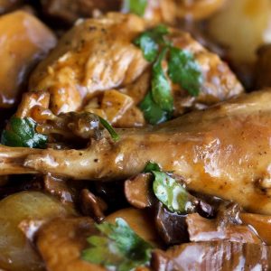 Fazan in sos de vin cu legume